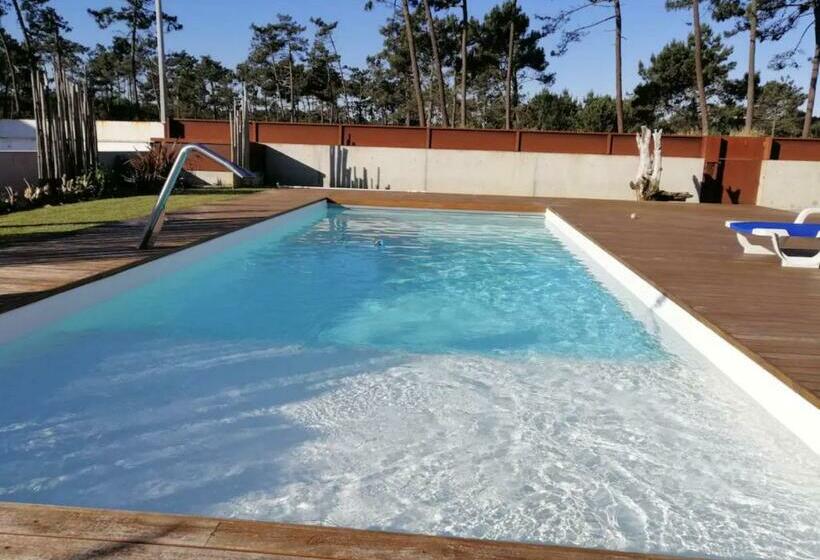 ペンション Amaré Studio