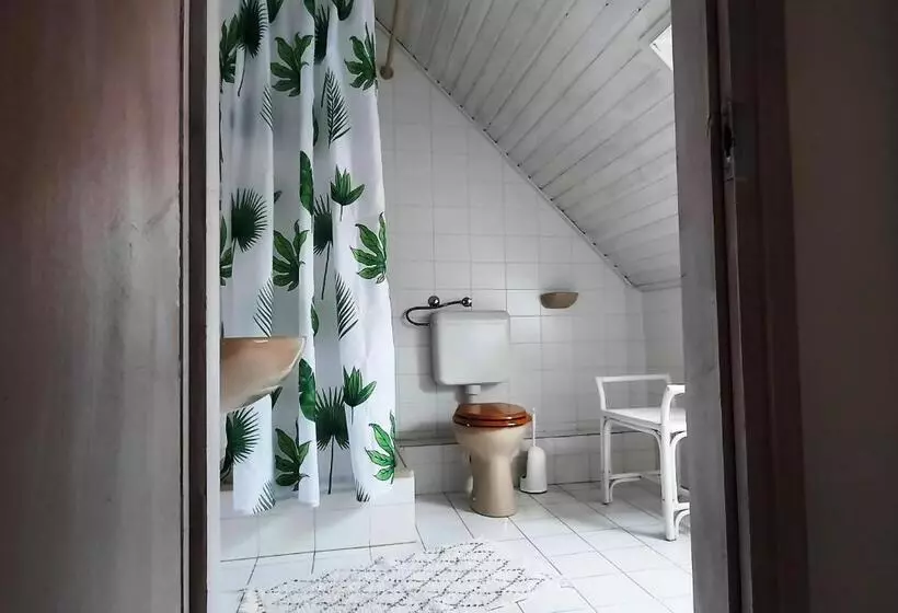 Belysium Bed & Breakfast Panzió