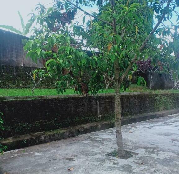 ペンション Penginapan Mongan By Sila Dharma Mesari Management