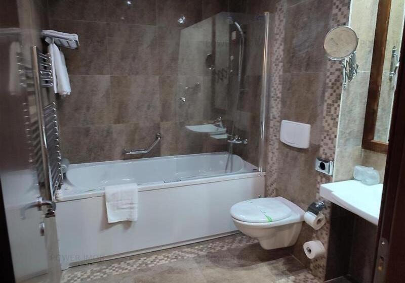 Apartment Privat Aparthotel Alpin Fara Mic Dejun Si Fara Acces Spa