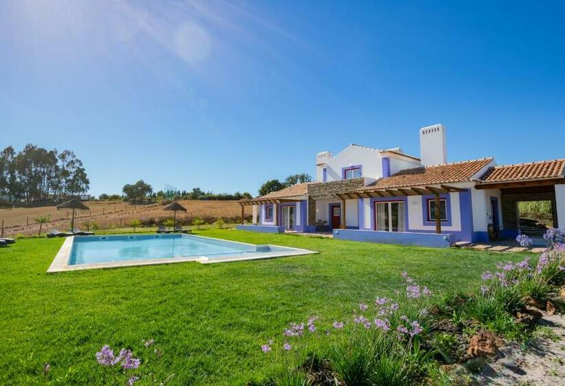 בית מלון כפרי Ares Do Monte  Turismo Rural