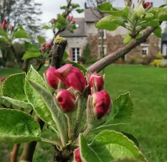 ベッドアンドブレックファースト La Majolique