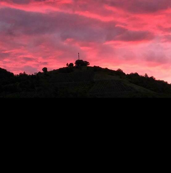 Gästehaus Hotel Zum Weinberg