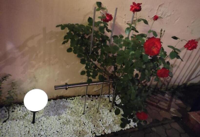 Pensione Calypso Rooms