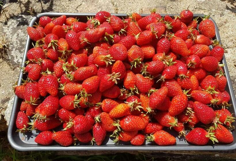 Bed and Breakfast L Abri Du Sillon