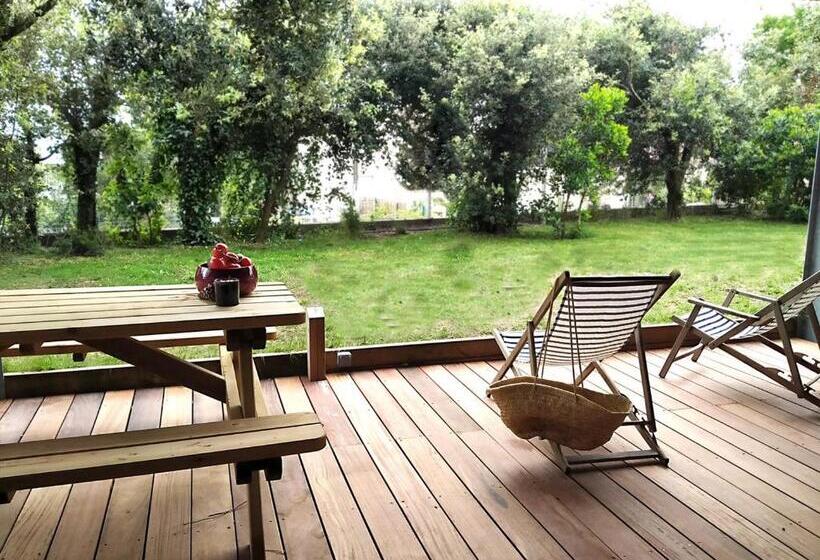 Bed and Breakfast Mimis House