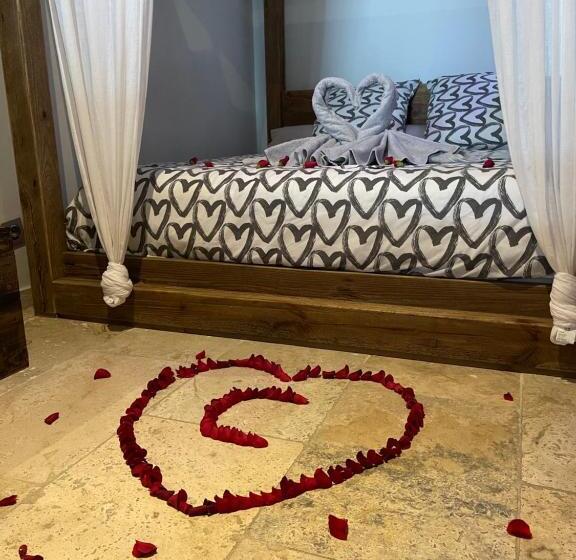 هتل L Excellence Avignon   Suite Luxe Sauna, Hammam & Jaccuzzi