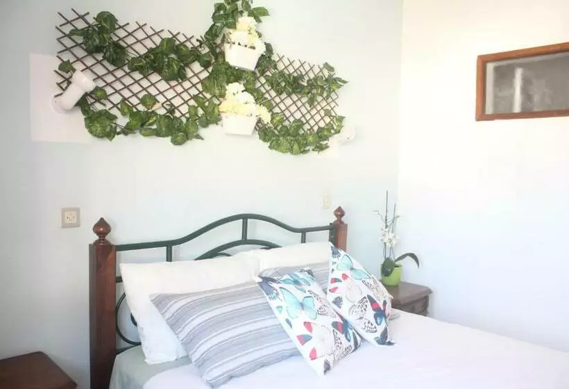 ペンション Casa Olívia