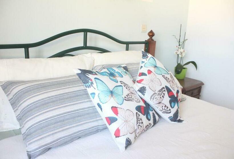 بنسيون Casa Olívia