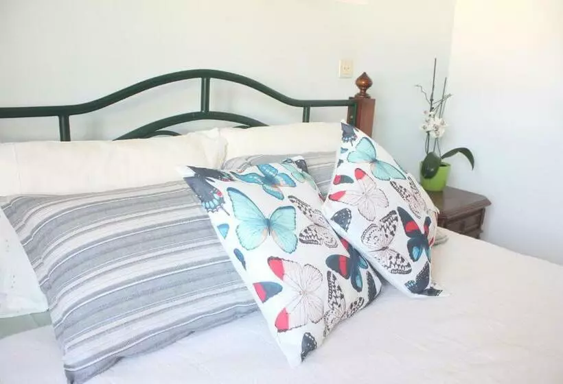 ペンション Casa Olívia