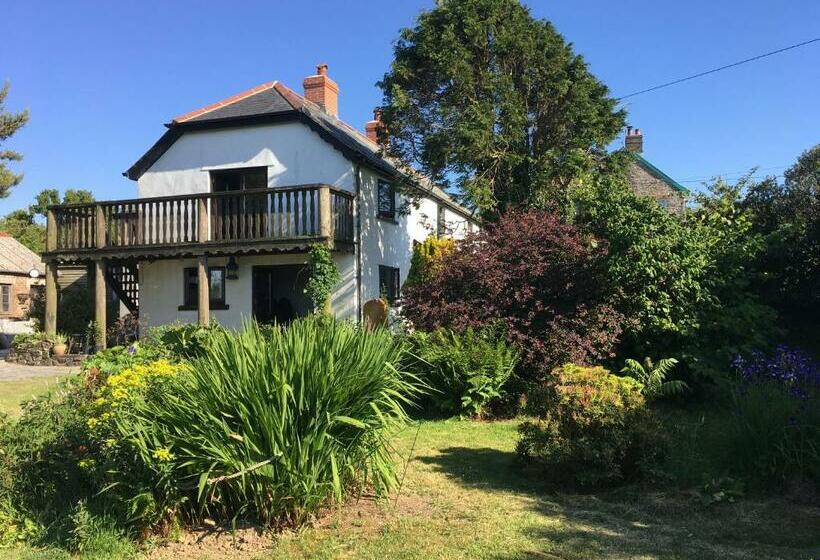 Slerra Hill Bed And Breakfast, Clovelly