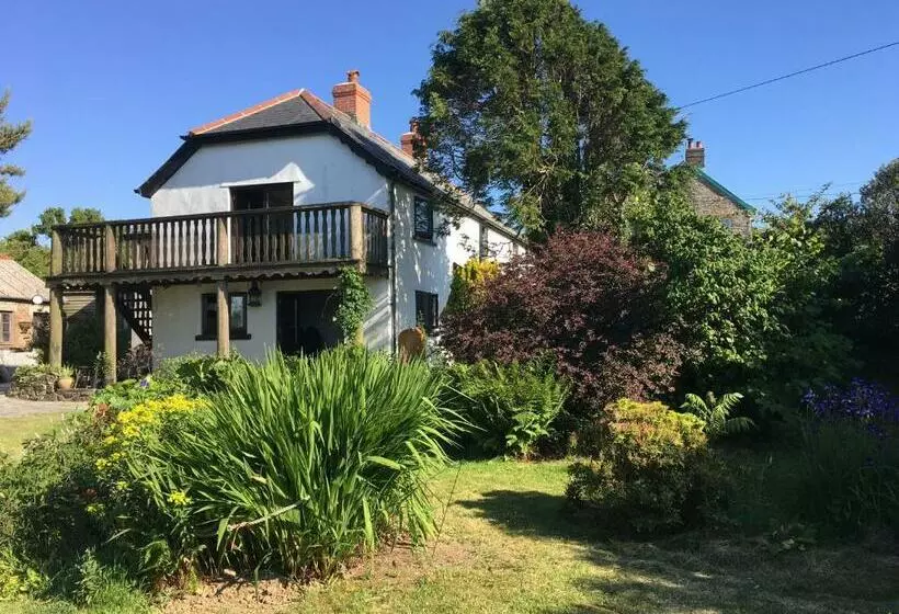 Slerra Hill Bed And Breakfast, Clovelly