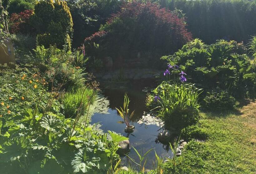 Slerra Hill Bed And Breakfast, Clovelly