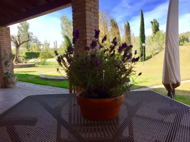 تختخواب و صبحانه Giunti Agriturismo & Camere