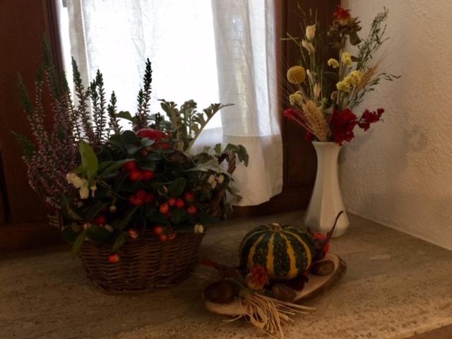 Nocleg ze śniadaniem Giunti Agriturismo & Camere