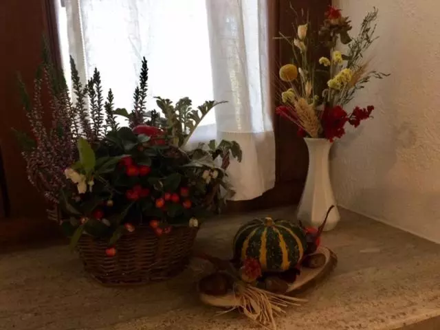 تختخواب و صبحانه Giunti Agriturismo & Camere