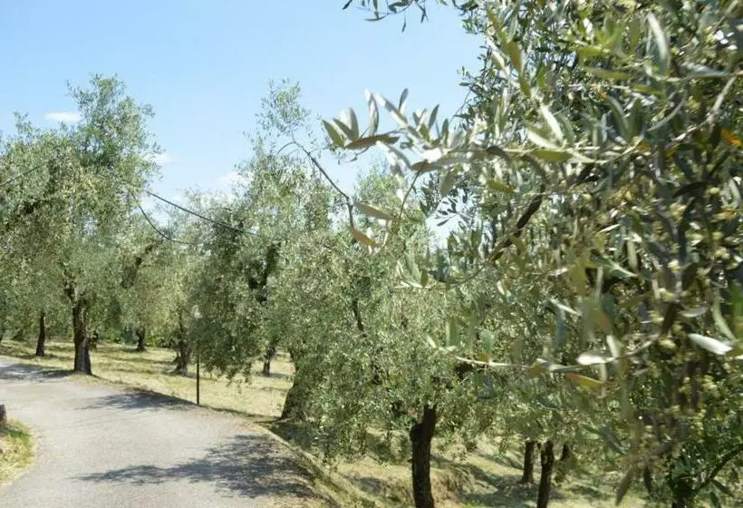 Aamiaismajoitus (B&B) Il Podere Di Tacito