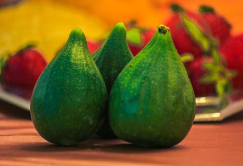 تختخواب و صبحانه Armonia Galeta