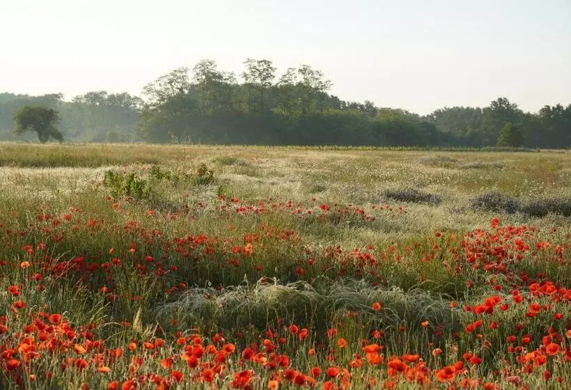Aamiaismajoitus (B&B) Ferme Du Bois De Veude