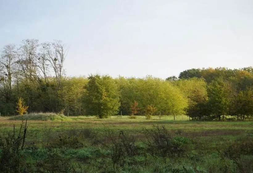 Aamiaismajoitus (B&B) Ferme Du Bois De Veude