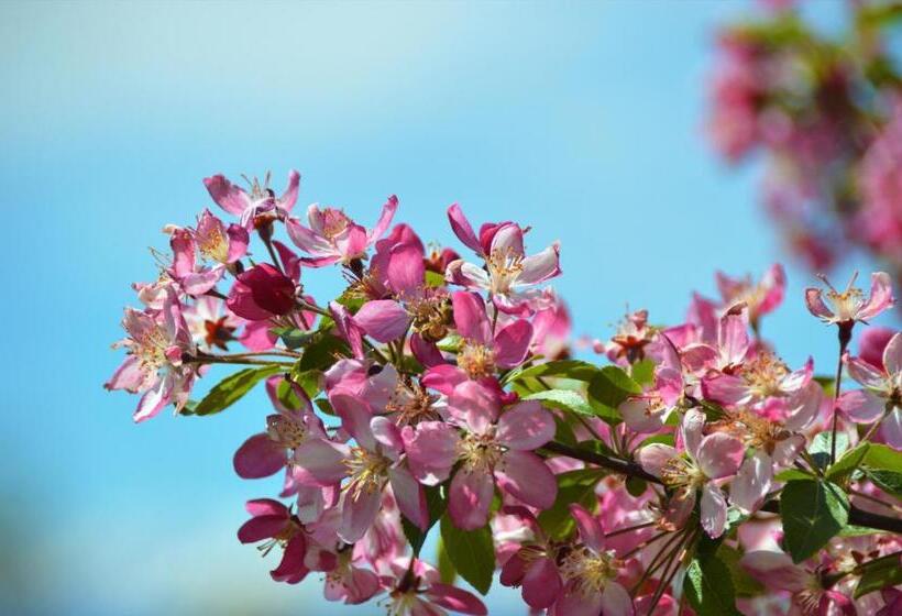 Bed and Breakfast Il Casotto Nelle Langhe