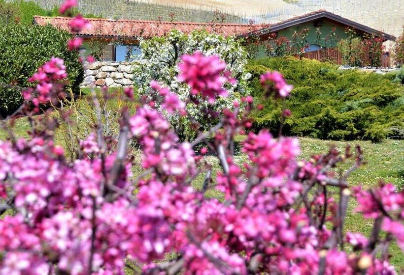 Bed and Breakfast Il Casotto Nelle Langhe