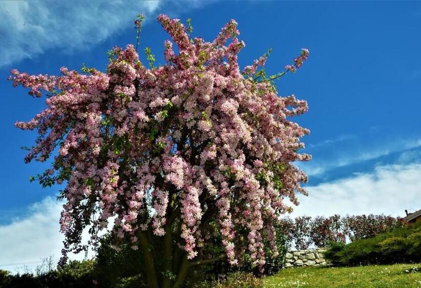 Bed and Breakfast Il Casotto Nelle Langhe