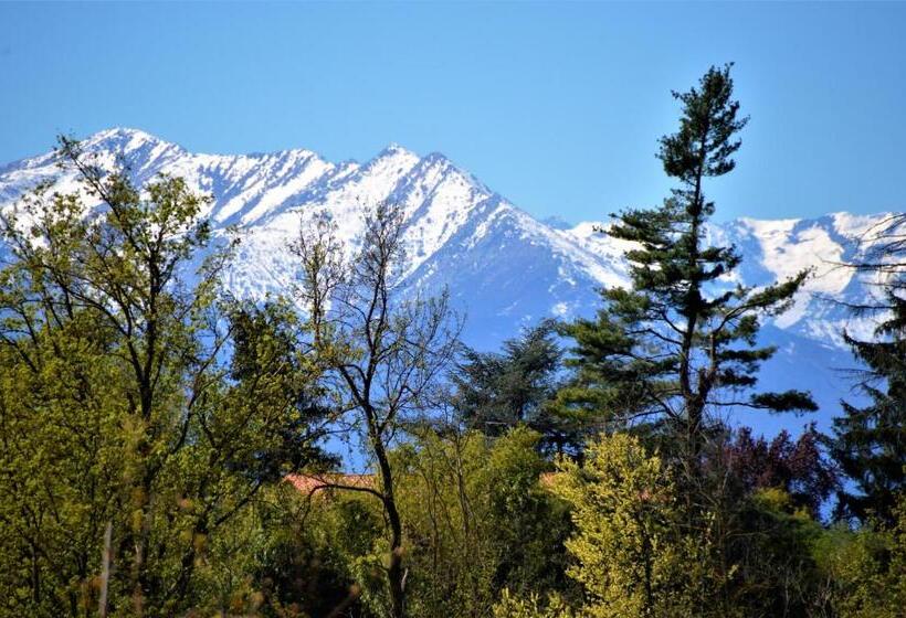 Bed and Breakfast Il Casotto Nelle Langhe