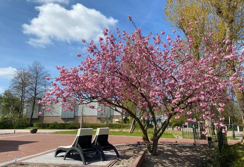 مبيت وإفطار Paauwze