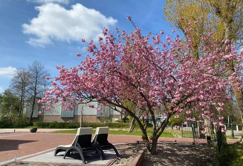 Aamiaismajoitus (B&B) Paauwze