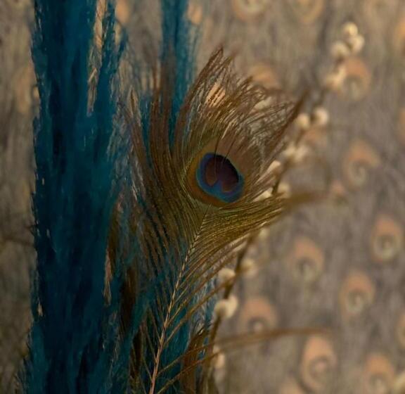 مبيت وإفطار Paauwze