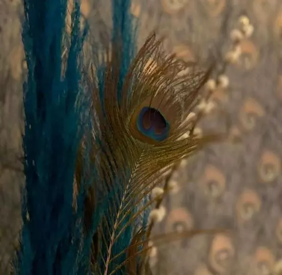 Aamiaismajoitus (B&B) Paauwze