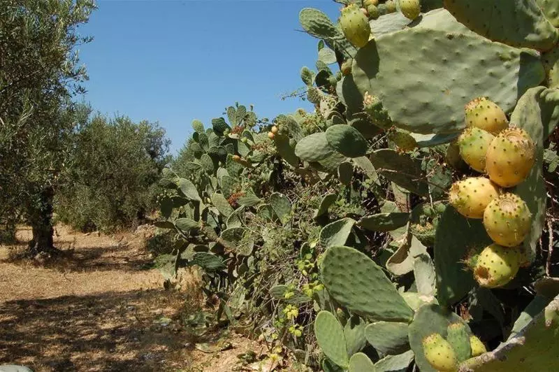 Agriturismo La Concordia