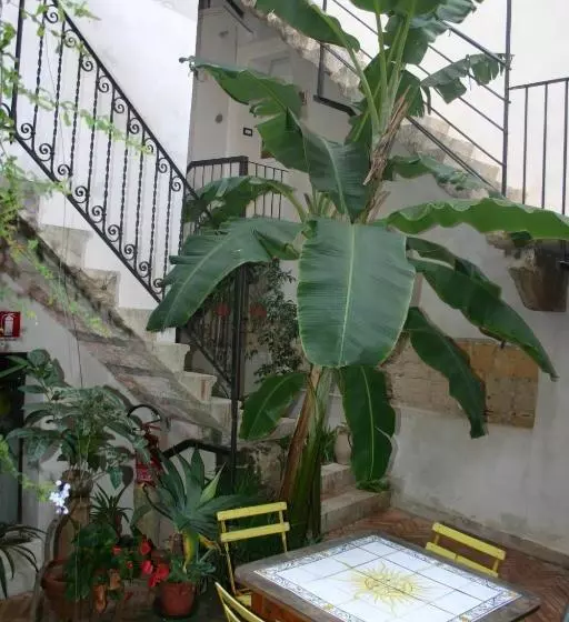 住宿加早餐 Il Cortiletto