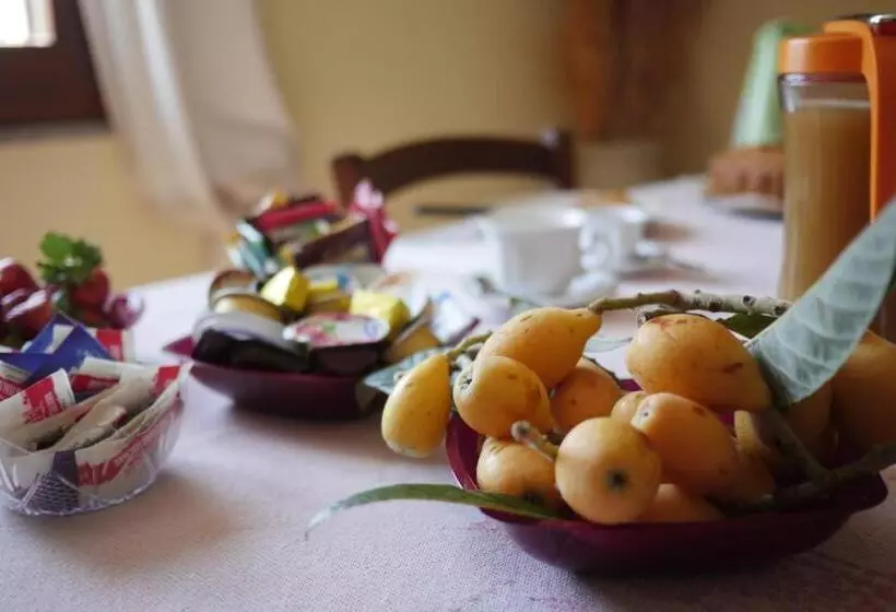 Bed And Breakfast Le Camelie