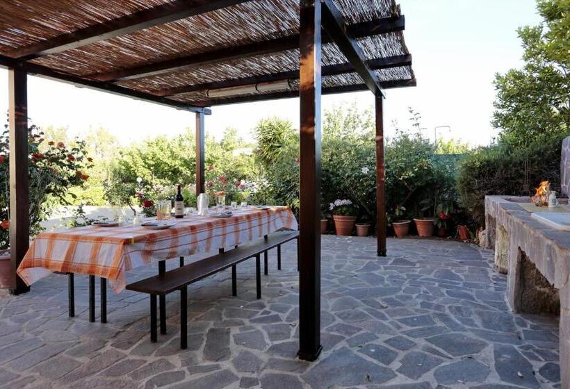 Bed And Breakfast Le Camelie