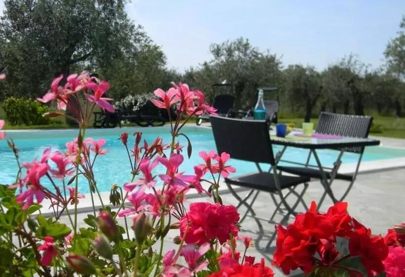 تختخواب و صبحانه Rosso Di Sera