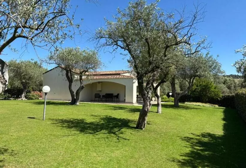 تختخواب و صبحانه Rosso Di Sera