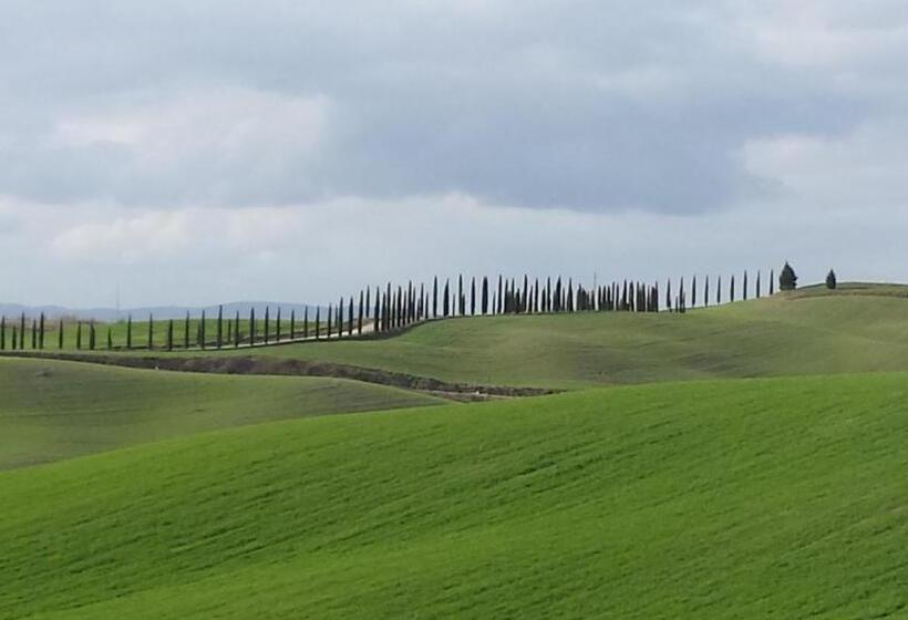 Отель 1000 Miglia