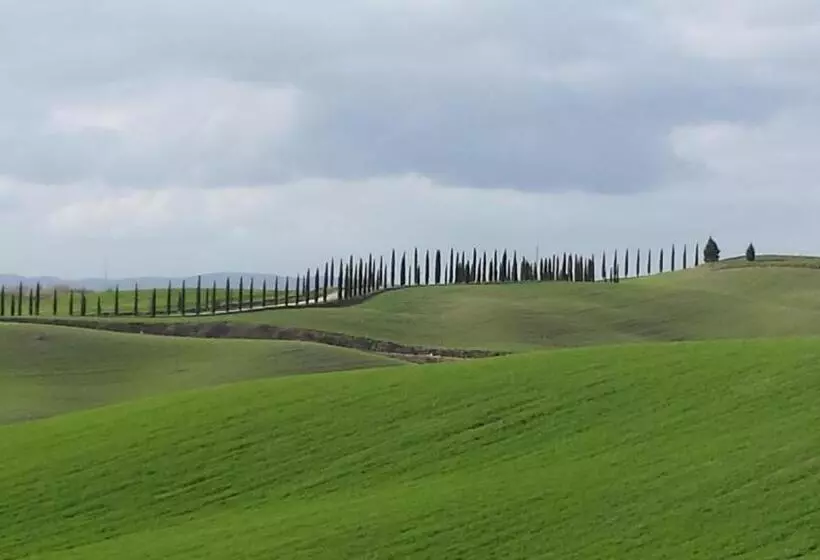 Отель 1000 Miglia