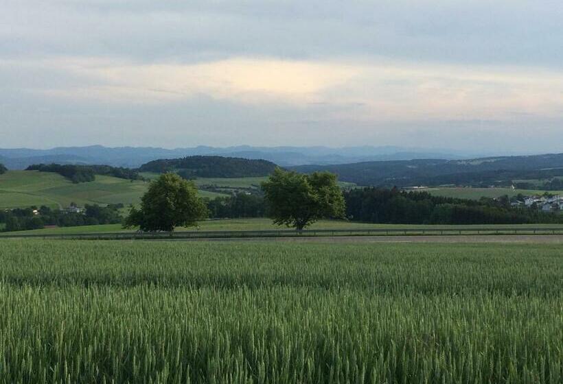 Bed and Breakfast Gästehaus Adler Albtal