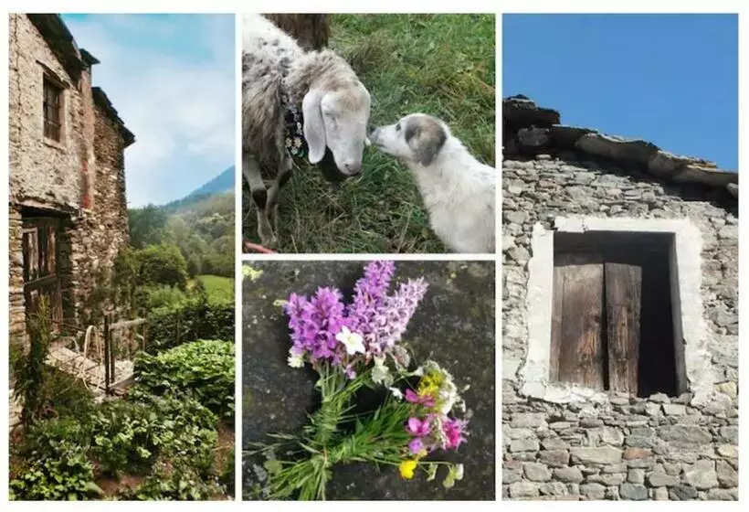 Aamiaismajoitus (B&B) Medieval Hamlet Malpertus