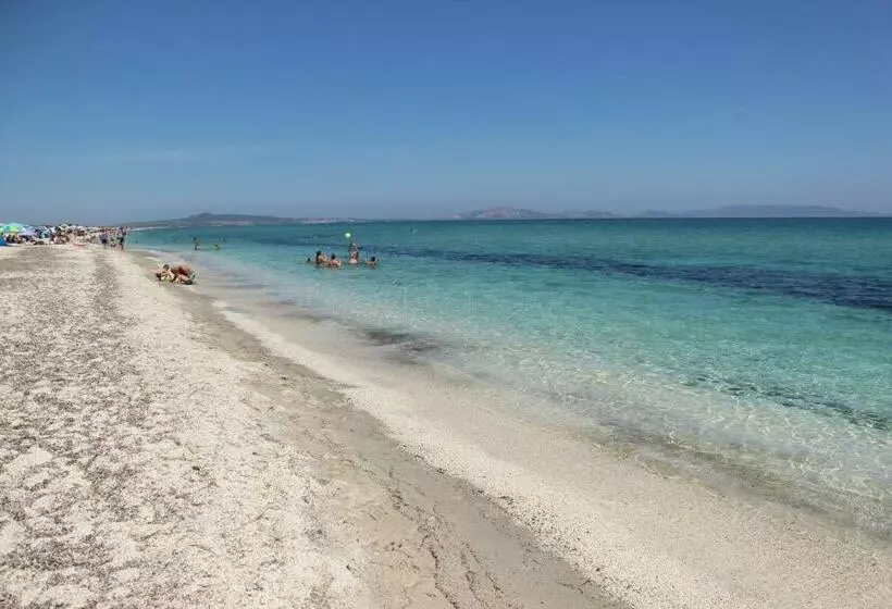 Aamiaismajoitus (B&B) Nure
