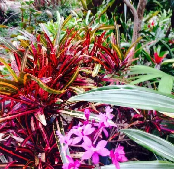 ペンション Fun Times