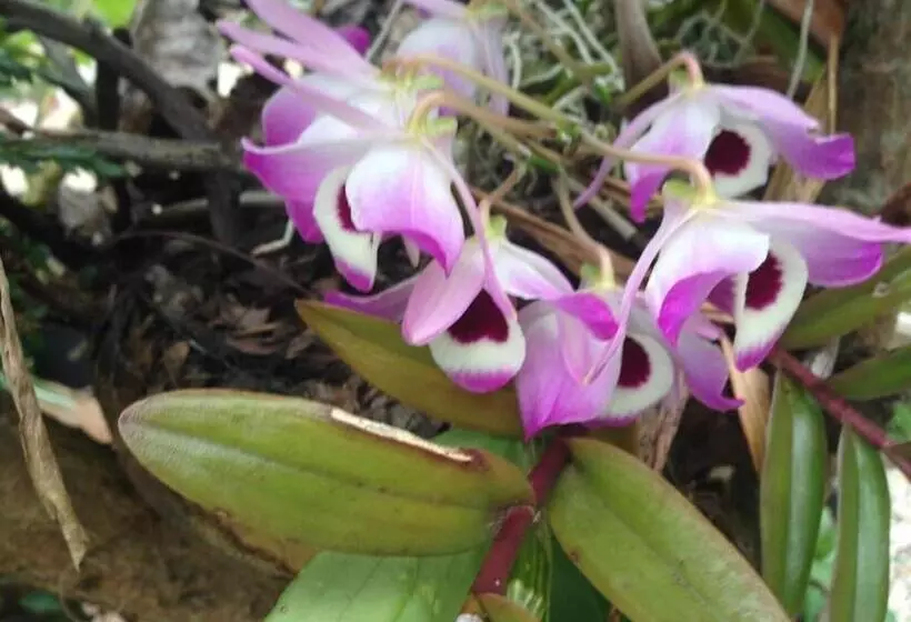 ペンション Fun Times