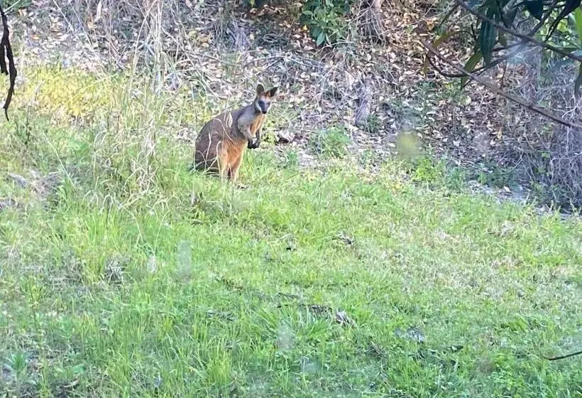 ペンション Fun Times