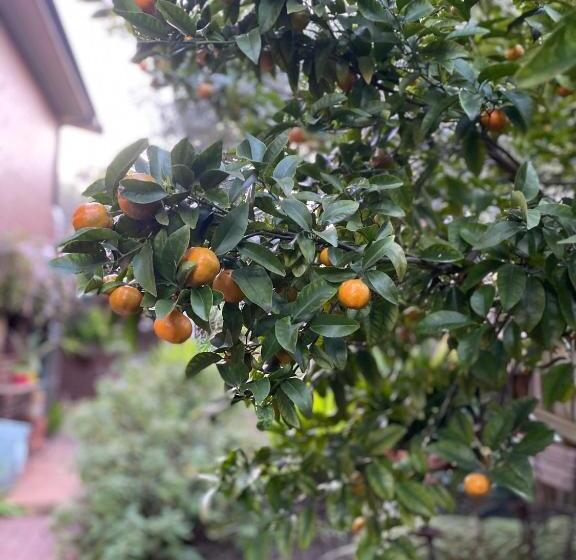 ベッドアンドブレックファースト The Studio