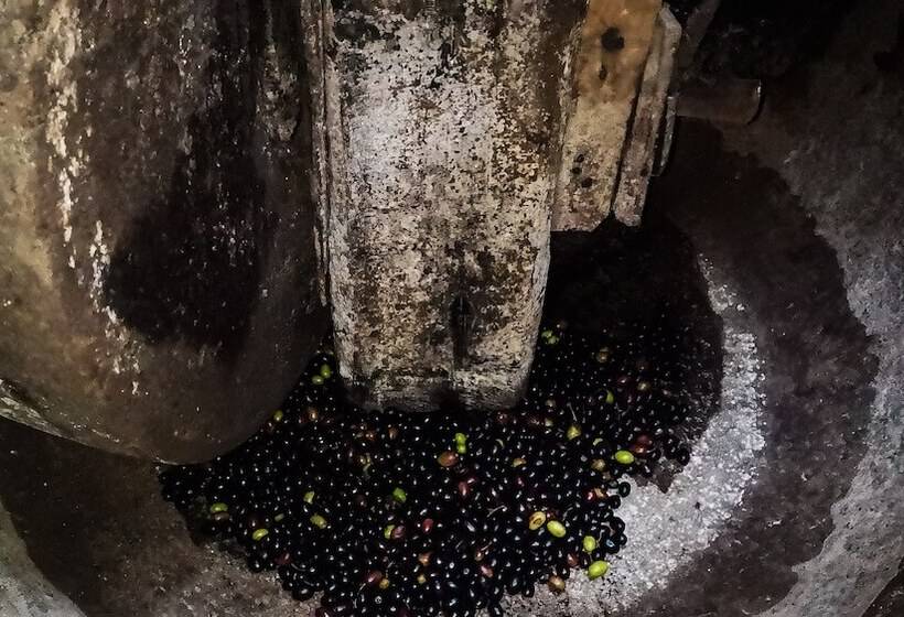 Hostel Retiro Do Gerês