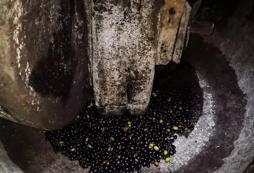 Hostel Retiro Do Gerês