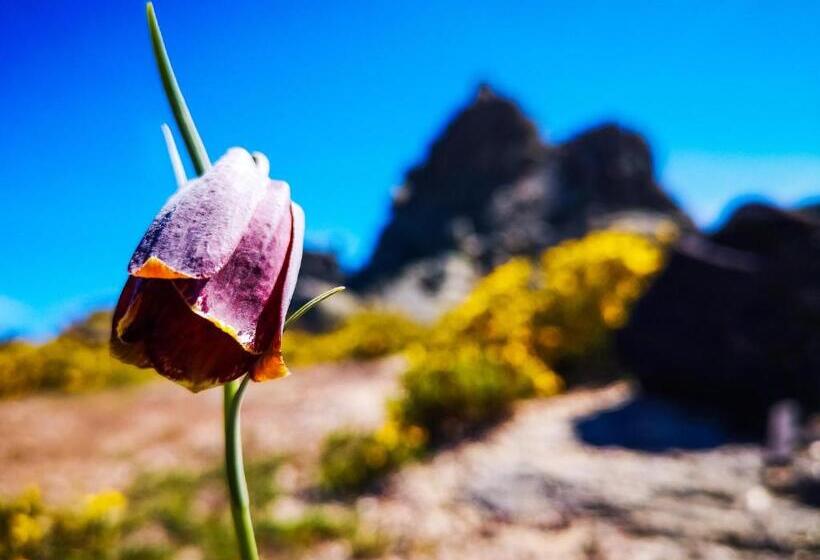 Hostel Retiro Do Gerês